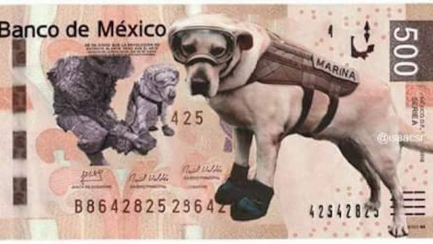 ¿Qué #Lomito heróico eres?
