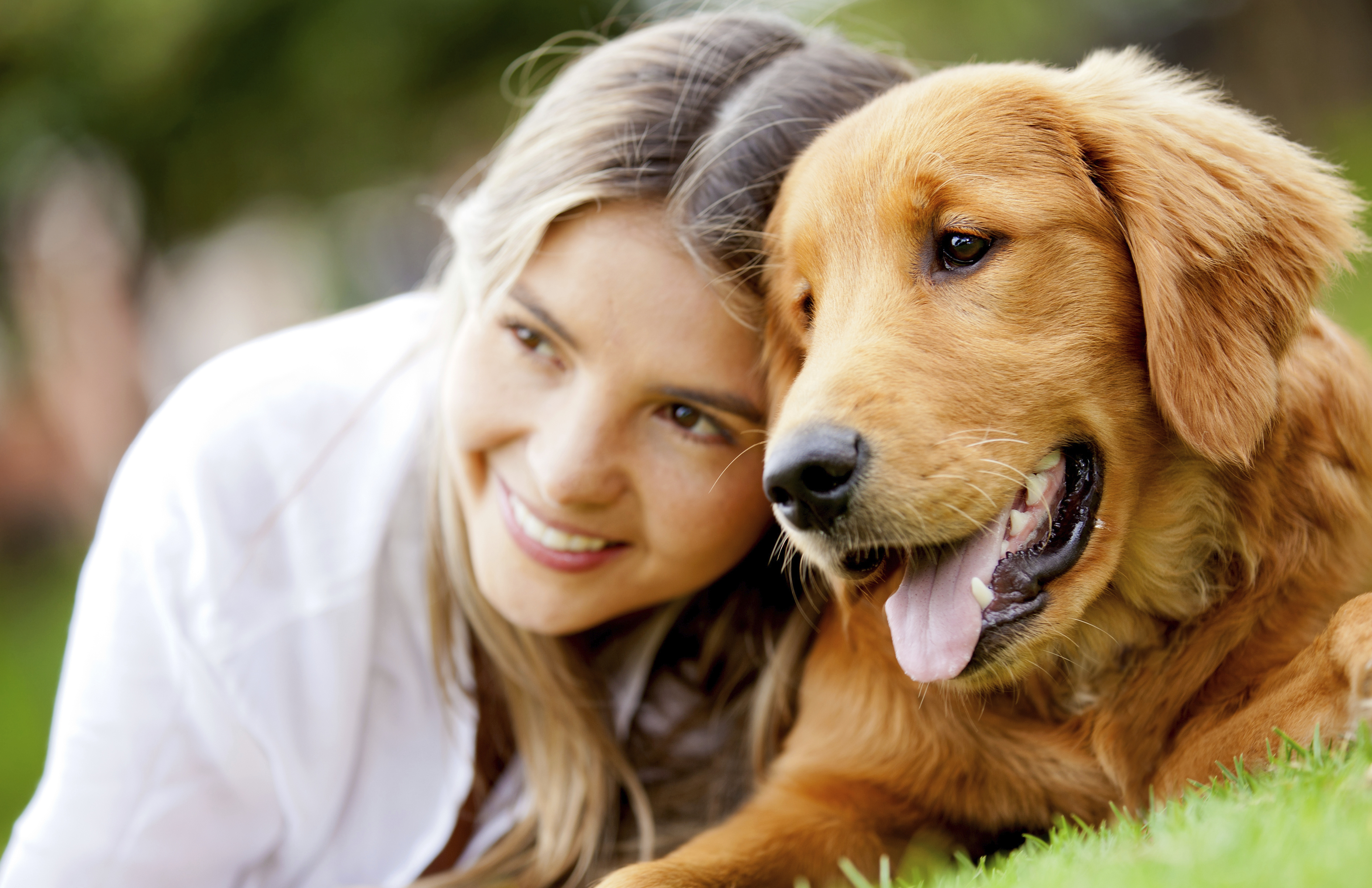 Obtiene italiana permiso laboral para cuidar a su perro enfermo
