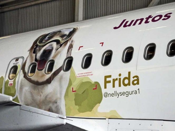 Aerolínea rinde homenaje a ‘Frida’ con su foto en un avión