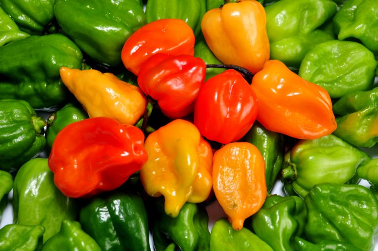 Estos son los chiles más picosos de México