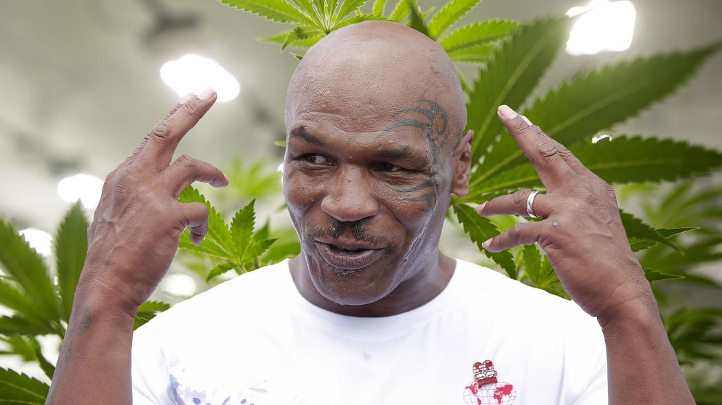 Mike Tyson está construyendo un resort de mariguana
