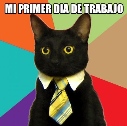 ¿Nuevo en la oficina? ¡Brilla en tu primer día laboral!