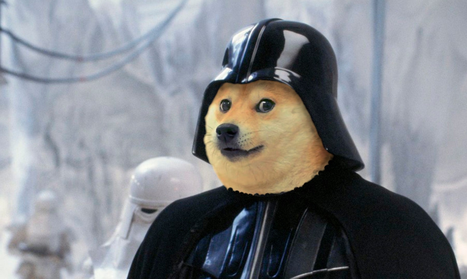 Conoce la criptomoneda inspirada en un meme ¡y su millonario valor!