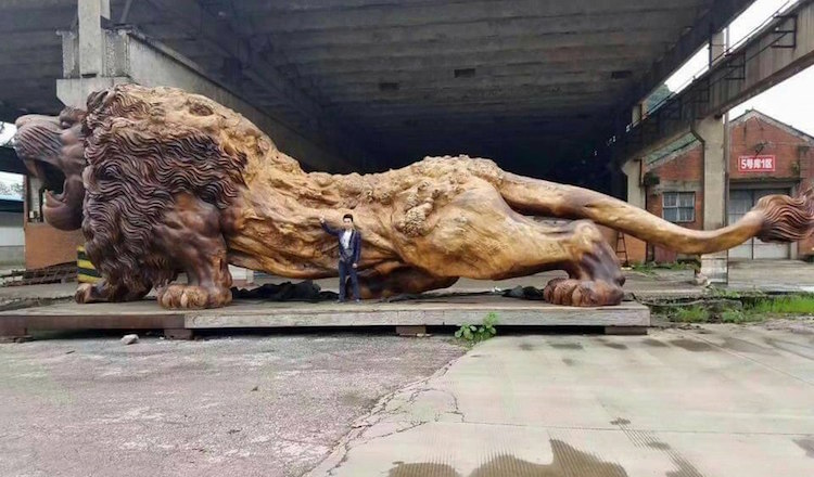 ¿Un león tallado en un tronco?