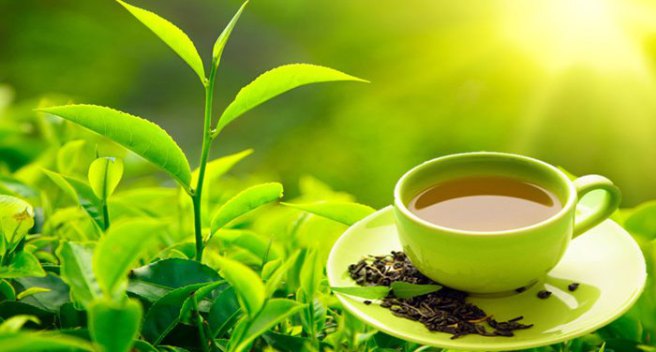 La hoja de té que podría ser la clave para combatir el cáncer de pulmón