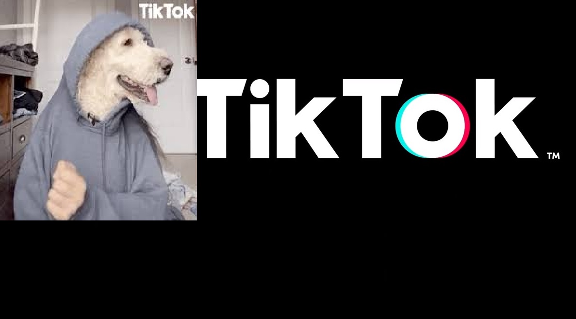 Lo rescatable de TikTok ‘How to Excel’
