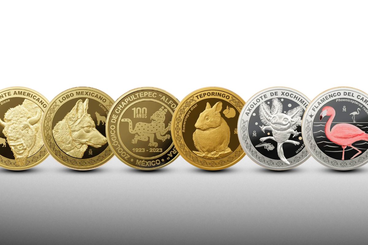 Venta de Monedas del Ajolote Causa Euforia y Largas Filas en el Zoológico de Chapultepec