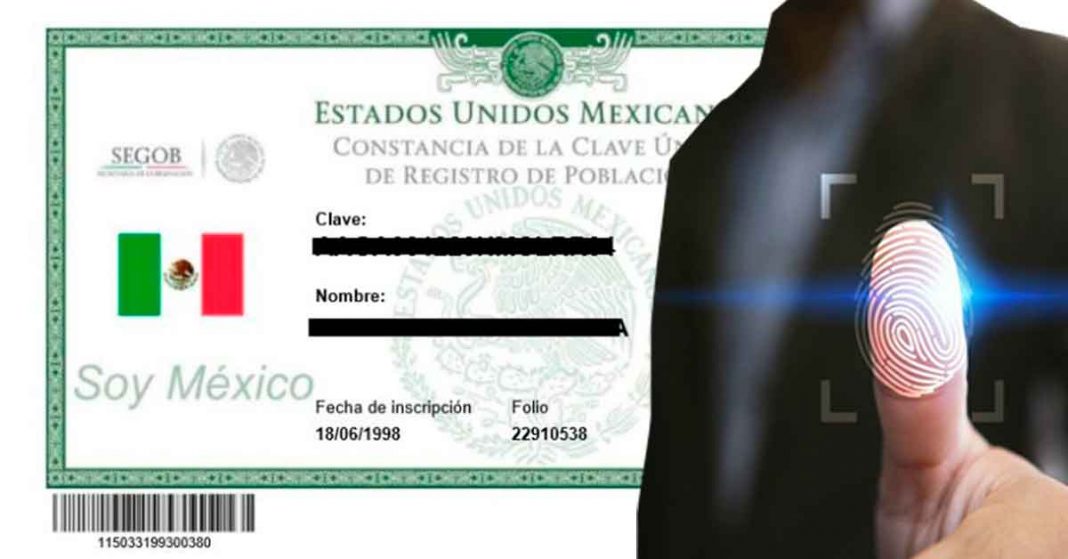 Senado aprueba modernización de la CURP: ¡Ahora con foto, huellas y firma!