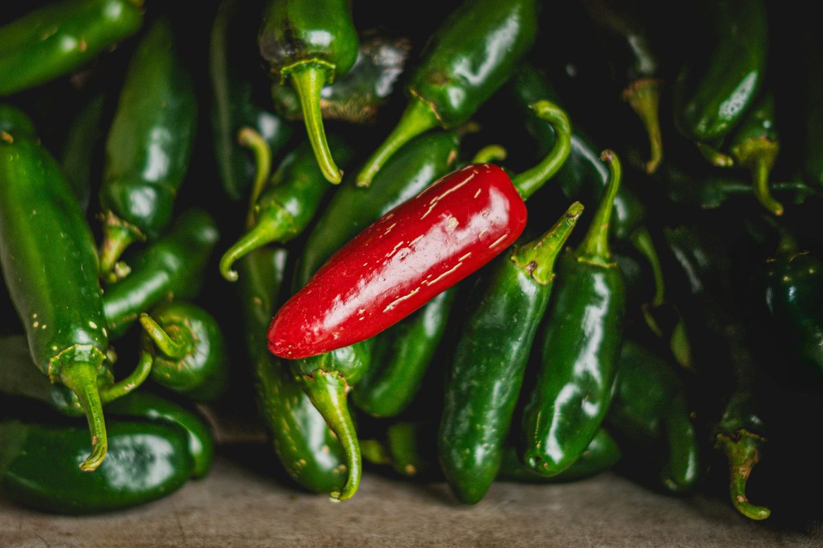 Alerta sanitaria: investigan casos de salmonela relacionados con chile jalapeño